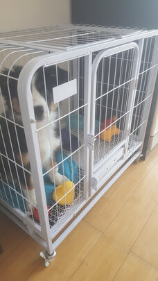  狗笼