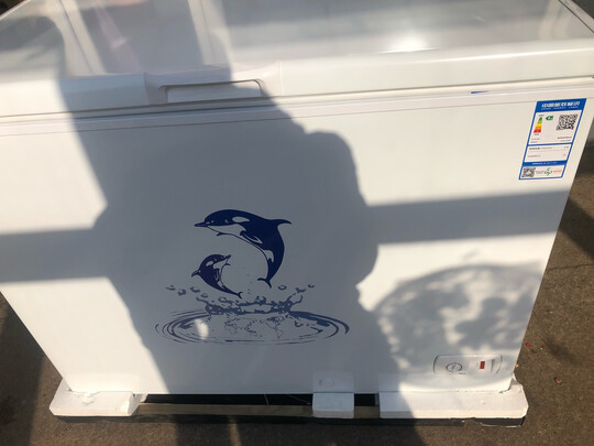 冰柜|客观评价澳柯玛BC/BD-323NE冰柜怎么样？上手三周说真相