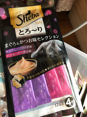 猫条猫零食