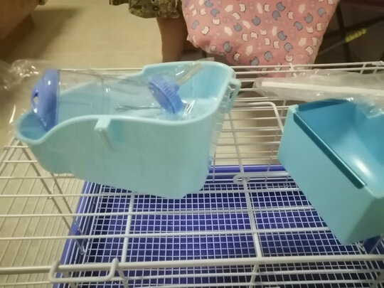 兔笼子