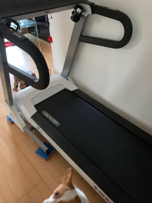 舒华跑步机SH-T3900-T1（前车之鉴）有必要告诉大家真相