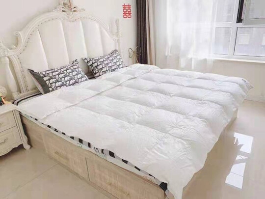 源生活源生活鹅绒被一个月后开始后悔了诉说原因