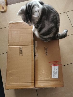 猫砂盆