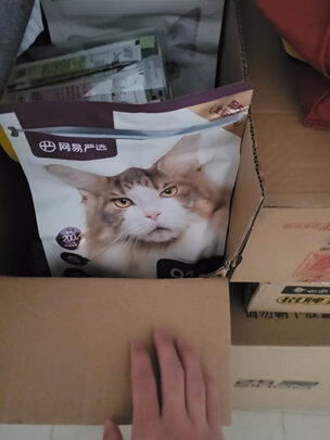 猫粮