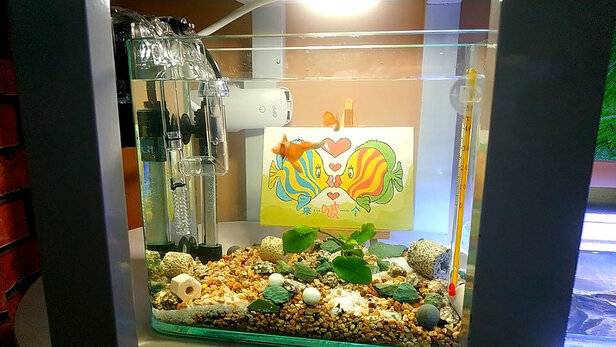 鱼缸水泵