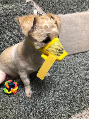 狗狗嘴套