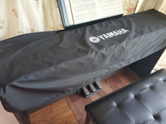 雅马哈电钢琴p48和p125区别?揭秘其质量好不好