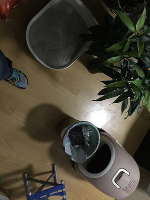 猫砂盆