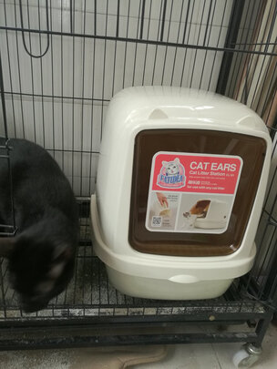 猫砂铲