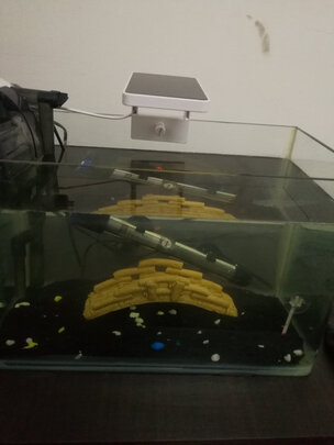 鱼缸水草灯