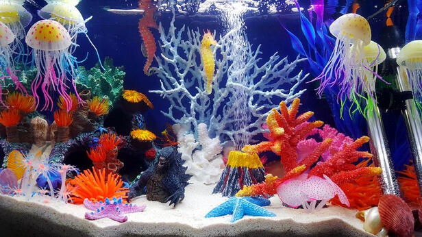 鱼缸换水器