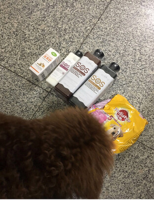 宠物护毛素