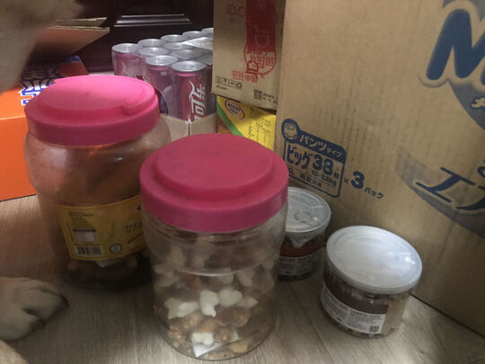 狗狗磨牙棒