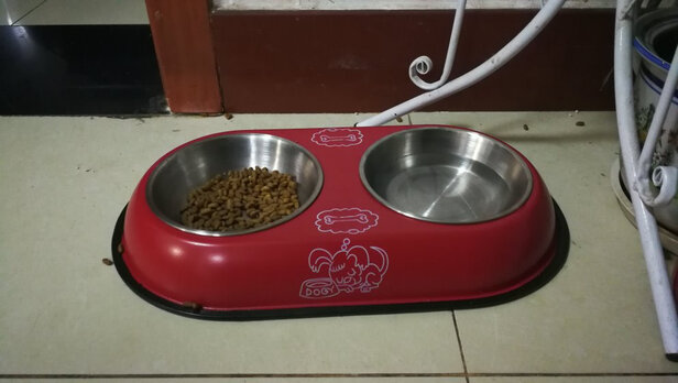 猫碗狗碗