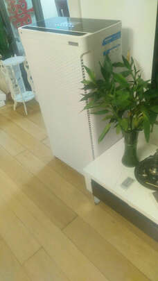 安美瑞ffu空气净化器怎么样用后两周说真实感受?