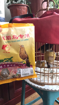 鸟粮
