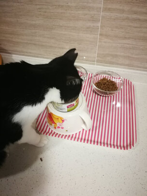 猫抓板
