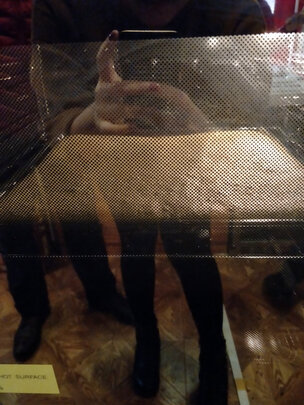 scandomesticX8蒸烤箱|【热搜头条】丹麦诗凯麦scandomestic蒸烤箱怎么样？是否真好？上手后讲真相