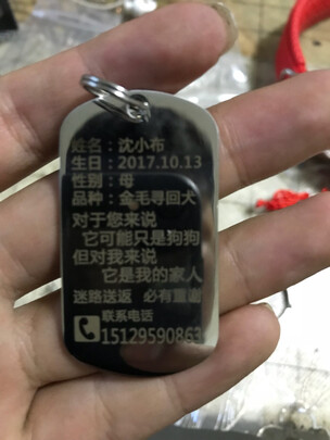 狗牌