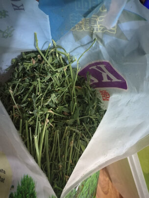 兔粮苜蓿草