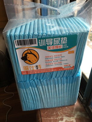 宠物纸尿裤
