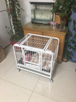  狗笼