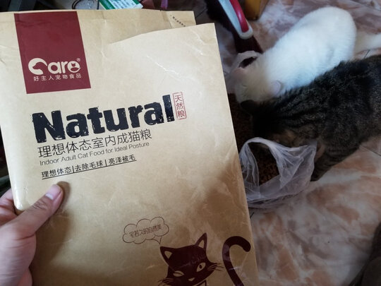猫粮