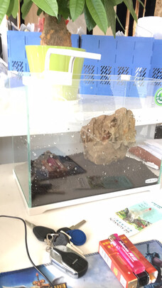 鱼缸水草灯