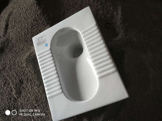 蹲便器