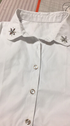 假领子