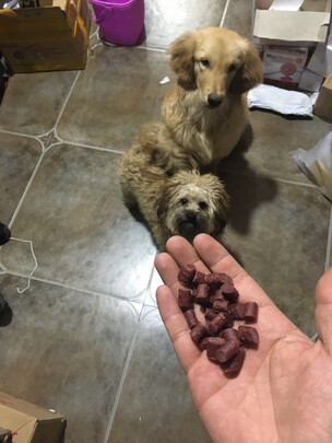 狗狗磨牙棒