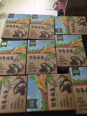 乌龟饲料