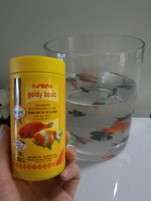 鱼粮