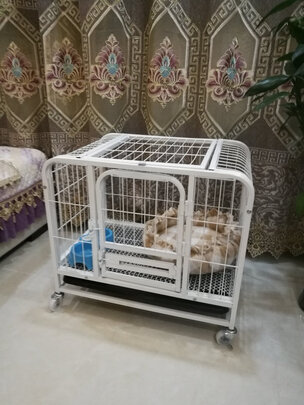  狗笼