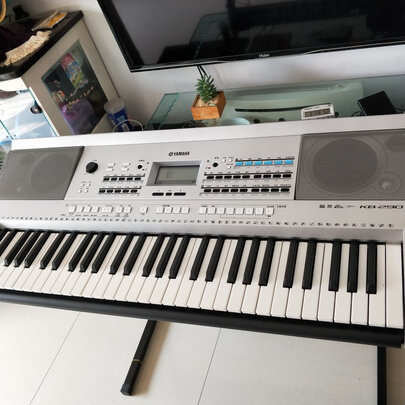 雅马哈电子琴sx900多少钱一台