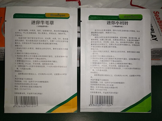 水草种子