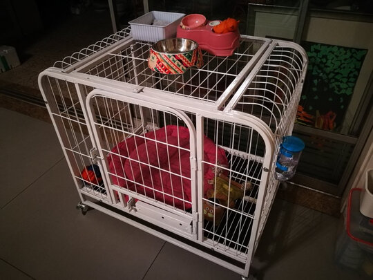  狗笼