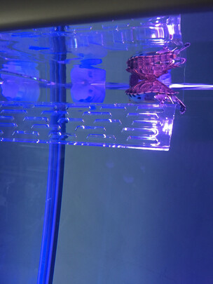 乌龟缸