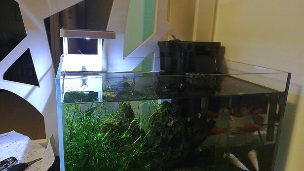 鱼缸水草灯