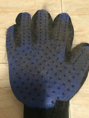 猫狗梳子