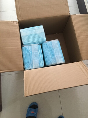 宠物纸尿裤