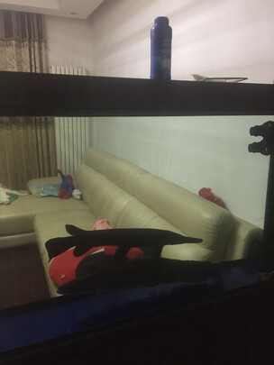 鱼缸净水剂