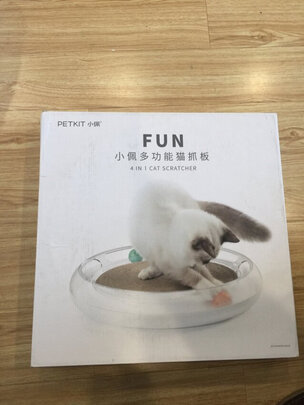猫窝