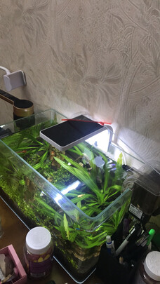 鱼缸水草灯