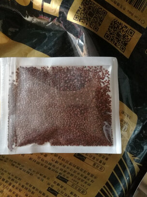 水草种子