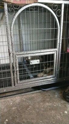 狗笼