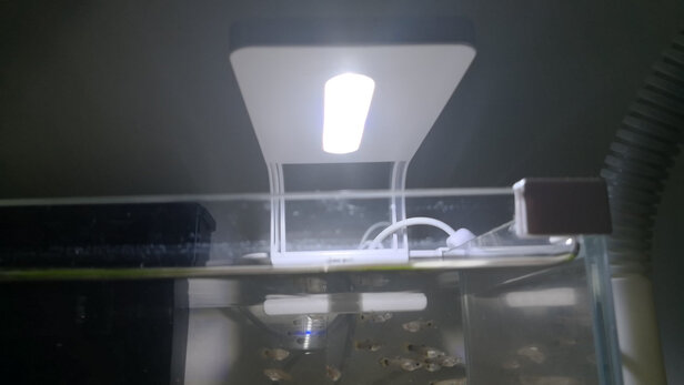 鱼缸水草灯