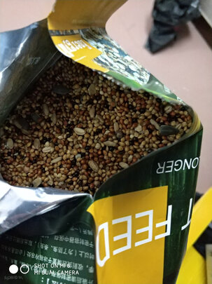 鹦鹉饲料