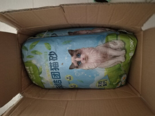 膨润土猫砂