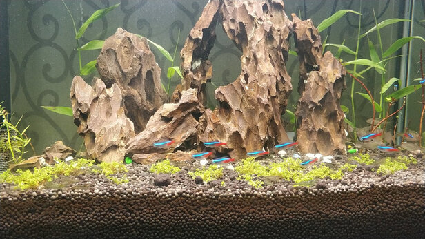 森森sunsun升级新hlt鱼缸水族箱怎么样森森sunsun升级新hlt鱼缸水族箱